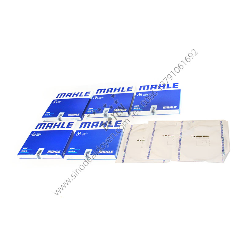 MAHLE OEM WEICHAI 612600030053 Piston Ring